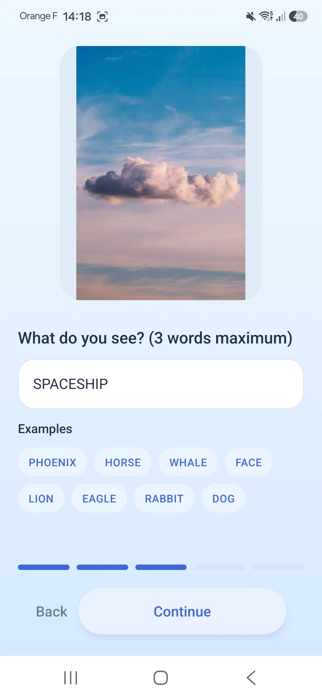CloudMuse app screen where the observer describes the shape perceived in the selected cloud